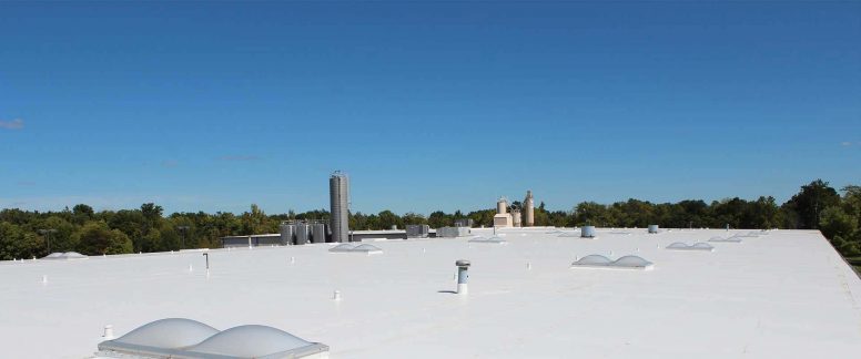 Commercial Flat Roofs