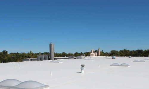 Commercial Flat Roofing Contractor